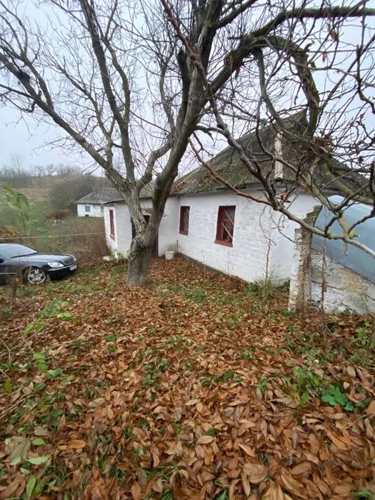 Продаж будинку. Лук'янівка. Київська область-1